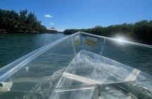 Live Cancun from our Transparent Boat