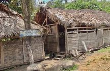  BriBri Indigenous Village Chocolate Tour, Cahuita and Waterfalls