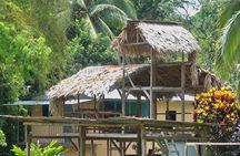  BriBri Indigenous Village Chocolate Tour, Cahuita and Waterfalls