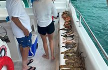  4HR-Halfday Private Fishing Tour in Gracebay 