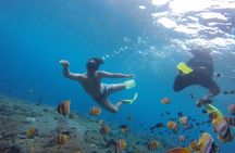 Amazing Nusa Penida Snorkeling Experience