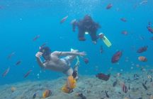 Amazing Nusa Penida Snorkeling Experience