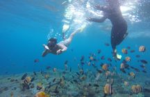 Amazing Nusa Penida Snorkeling Experience