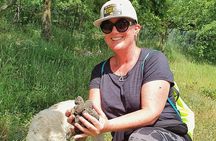 Truffle Hunting Experience in Assisi