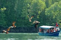 Sharing Half Day Kilim Geoforest Park Mangrove Boat Tour