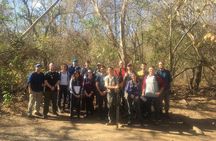 Birdwatching Half-Day Tour between clouds and forest in Monteverde