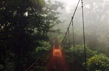 Birdwatching Half-Day Tour between clouds and forest in Monteverde