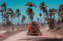 3-Hour Awesome Dune Buggy Excursion in Punta Cana