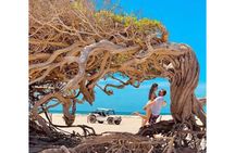 Jericoacoara East Paseo and Accommodation with Pool 