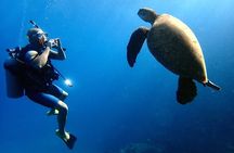 Scuba Diving Adventures for All Experience Levels