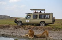4 Days Serengeti Heritage Safari 