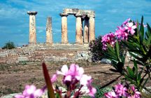 Olive Oil taste Private Tour from Athens or Nafplio includes: Corinth,Perachora 