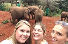 Elephant Orphanage, Giraffe Centre& optional Nairobi NationalPark