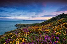 Howth Coastal Half-Day Bus Tour from Dublin with Live Guide