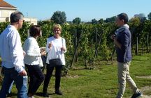 Medoc Region Wine Day Trip with Vineyard Visits & Tastings from Bordeaux
