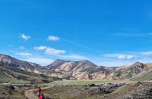 Private Day Trip in Landmannalaugar South Region area on a 4x4 truck 