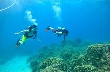  StandUp PaddleBoard Lesson and Experience Scuba Diving Package!
