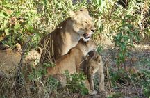 Masai Mara 3Days Safari Adventure
