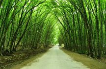 Baku to Guba, Candy Cane, Khinaliq village with HOMEMADE lunch