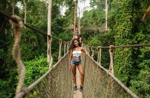 Experience Cape Coast Castle and Kakum National Park