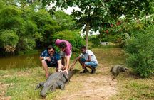 Experience Cape Coast Castle and Kakum National Park