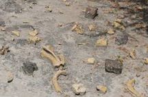 Day Trip to Tiya stale,Adadi Mariam Rock Church & Melkakutere Tours -Day Trips
