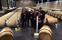 Médoc Region Half-Day Wine Tour with Winery Visit & Tastings from Bordeaux