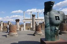 Private half-day tour with expert guide in the archaeological site of Pompeii