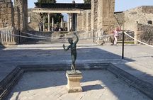 Private half-day tour with expert guide in the archaeological site of Pompeii