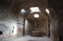Private half-day tour with expert guide in the archaeological site of Pompeii