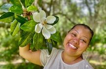 Taste of Historic Plantations 1/2 Day Tour
