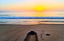 5 Days - 4 Nights Private Roundtrip Tours - Fatimah Tours