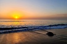 2-day Private Tour to Ras Al Hadd 