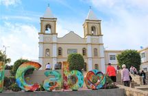 Los Cabos Deluxe City Tour: San Jose, San Lucas and The Arch 