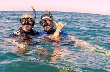 Private Snorkeling Boat Tour in San Jose del Cabo