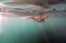 Private Snorkeling Boat Tour in San Jose del Cabo