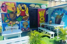 Full-Day Guided Tour in santo Domingo