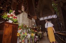 Explore and Learn the Culture of the Dominicans