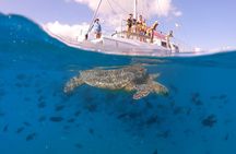 Turtle Snorkeling Boat Tour and Adventure in Waikiki
