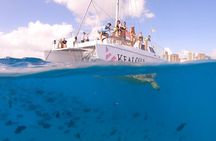 Waikiki Turtle Snorkeling Boat Tour and Adventure