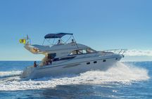 Whales and Dolphins excursion on a Luxury Yacht in Canary Islands