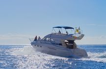 Whales and Dolphins excursion on a Luxury Yacht in Canary Islands