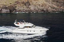 Whales and Dolphins excursion on a Luxury Yacht in Canary Islands