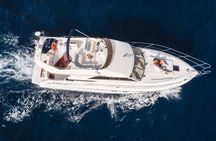 Whales and Dolphins excursion on a Luxury Yacht in Canary Islands