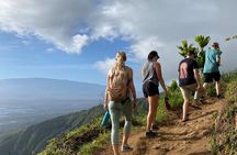 Amazing Maui Ridge Hike