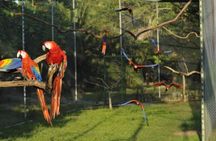  Private Wildlife and Sightseeing Tour to Natuwa Rescue Center