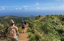 Amazing Maui Ridge Hike
