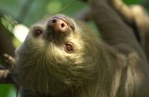  Private Wildlife and Sightseeing Tour to Natuwa Rescue Center