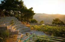 Join the Winemaker for a Unique Culinary and Wine Tasting Journey