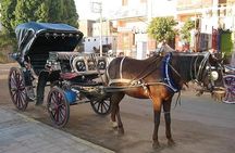 Aswan City Tour by Horse Carriage